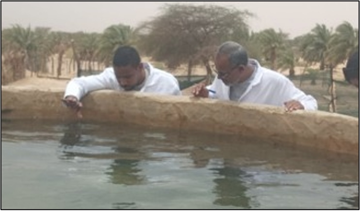 صور من إستزراع الأسماك تحت الواحات بأدرار